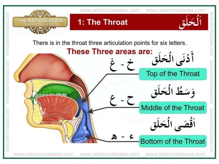 Hifz-ul-Quran Course - Memorize Quran Easily
